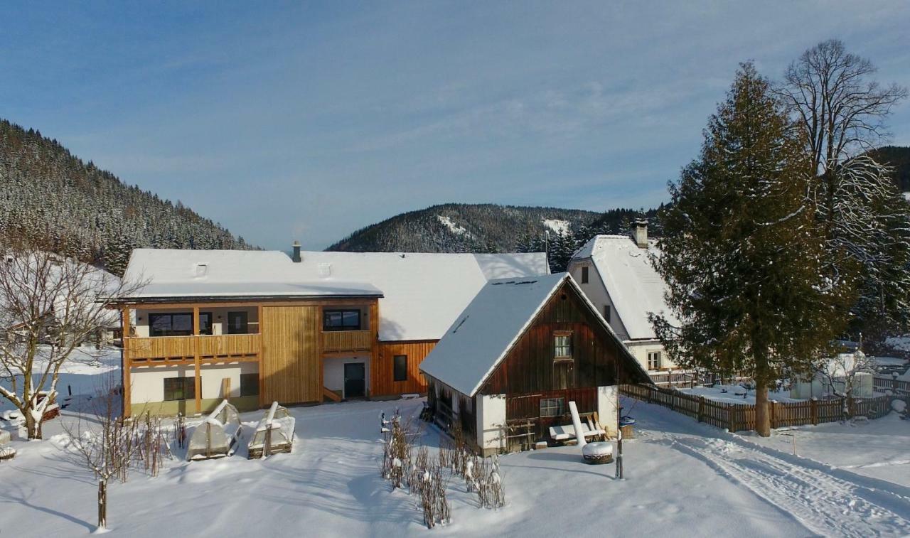 Ferienwohnungen Orth Lassing  Экстерьер фото
